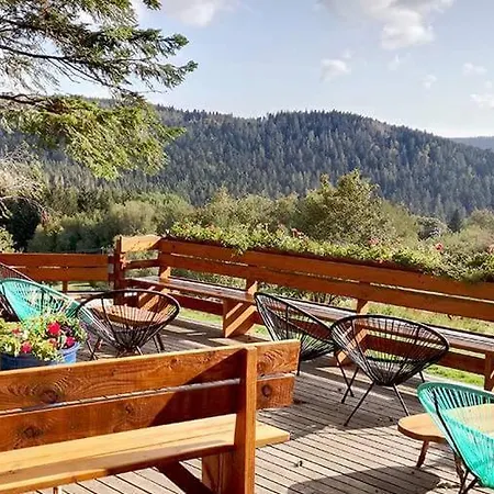 Dağ evi Panoramique Et De Les Jonquilles Liézey