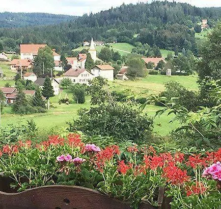 Panoramique Et De Les Jonquilles *