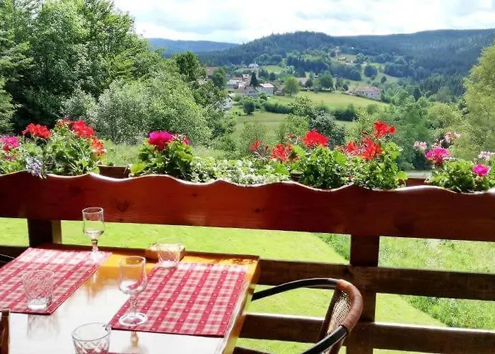 Panoramique Et De Les Jonquilles * Liézey