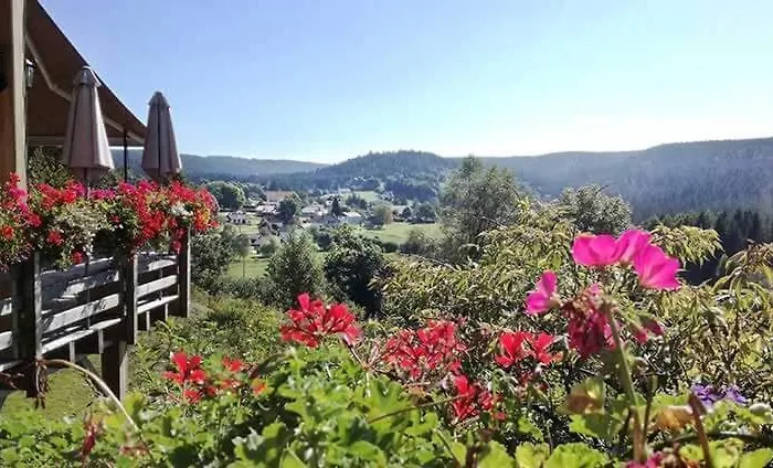 Panoramique Et De Les Jonquilles Domek alpejski