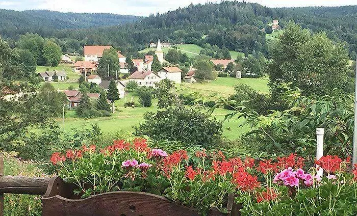 Panoramique Et De Les Jonquilles *